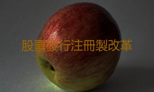 股票發行注冊製改革