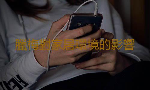 臘梅對家居環境的影響