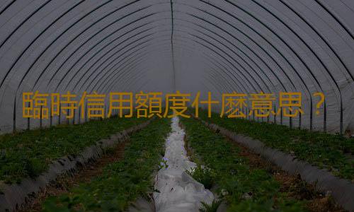 臨時信用額度什麽意思？臨時信用額度到期