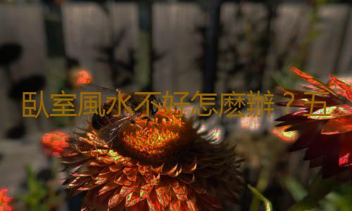 臥室風水不好怎麽辦？五種布置提升臥室風水