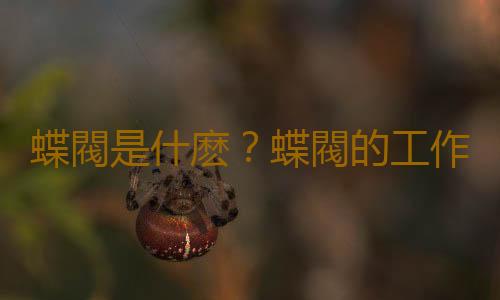 蝶閥是什麽？蝶閥的工作原理