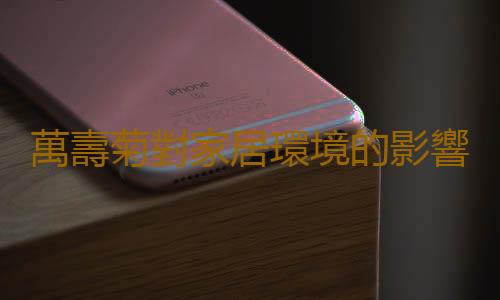 萬壽菊對家居環境的影響