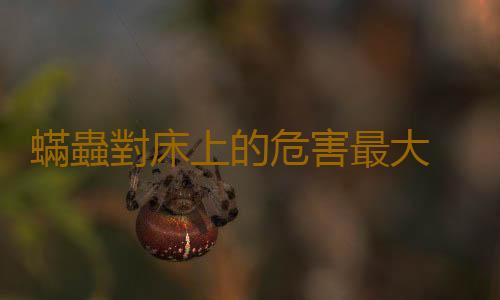 蟎蟲對床上的危害最大 去除蟎蟲的小方法