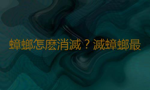 蟑螂怎麽消滅？滅蟑螂最有效的方法