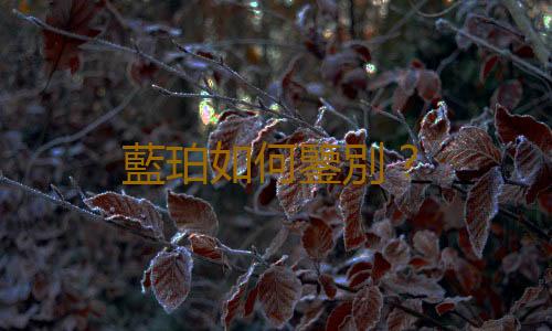 藍珀如何鑒別？