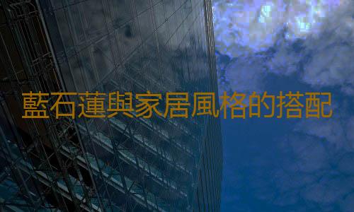 藍石蓮與家居風格的搭配