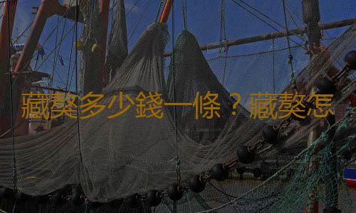 藏獒多少錢一條？藏獒怎麽訓練？