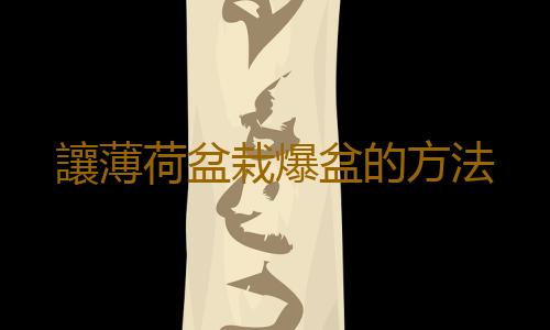 讓薄荷盆栽爆盆的方法