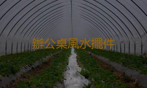 辦公桌風水擺件