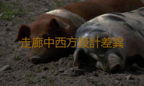 走廊中西方設計差異