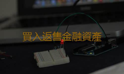 買入返售金融資產