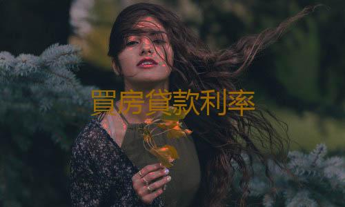 買房貸款利率