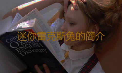 迷你雷克斯兔的簡介