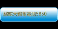 駱駝天鵝蓄電池58500五菱榮光之光麵包車北汽汽車電瓶12V48AH電池