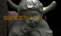 駱駝蓄電池6-QW-180適用東風卡車客車貨車工程汽車電瓶 以舊換新