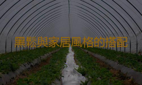 黑鬆與家居風格的搭配