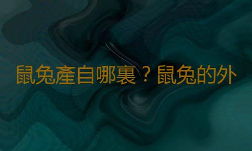 鼠兔產自哪裏？鼠兔的外形特征