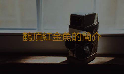 鶴頂紅金魚的簡介